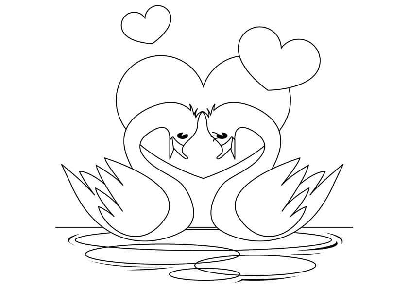 Desenhos de Casal de Cisnes para colorir