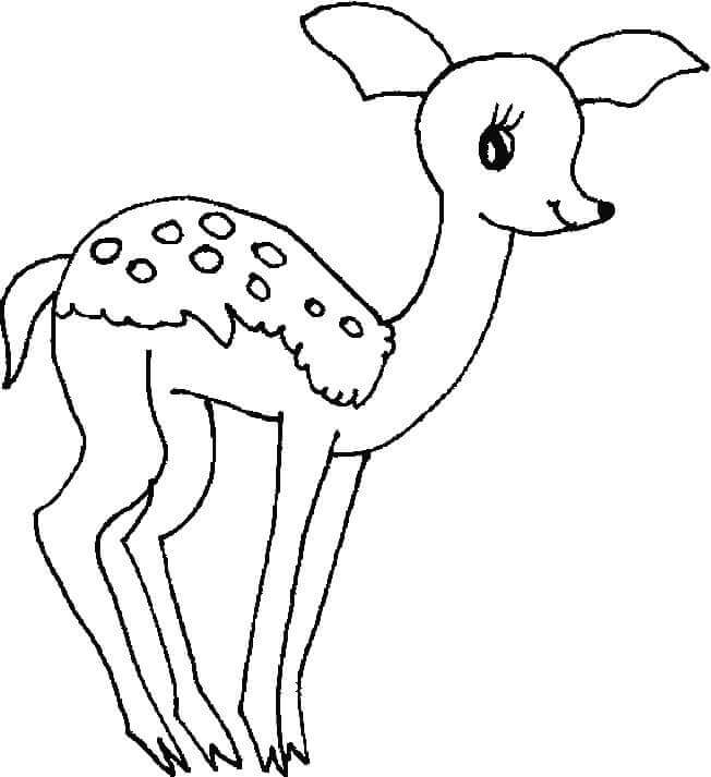 Desenhos de Cervo Fofo para colorir