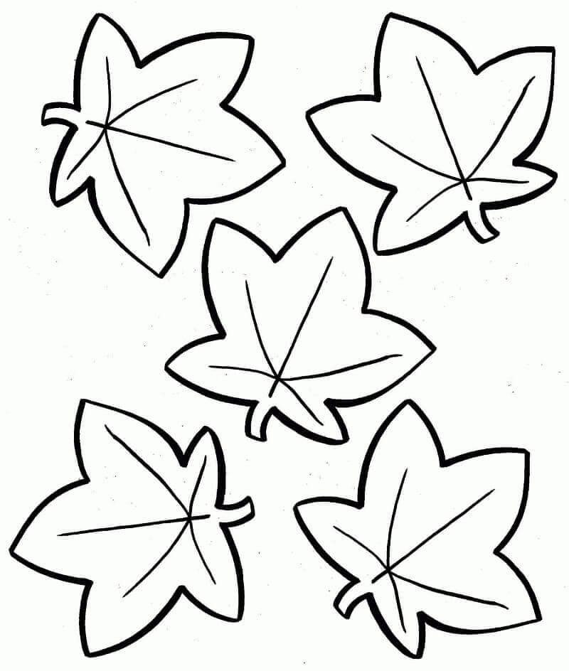 Desenhos de Cinco Folhas de Outono para colorir