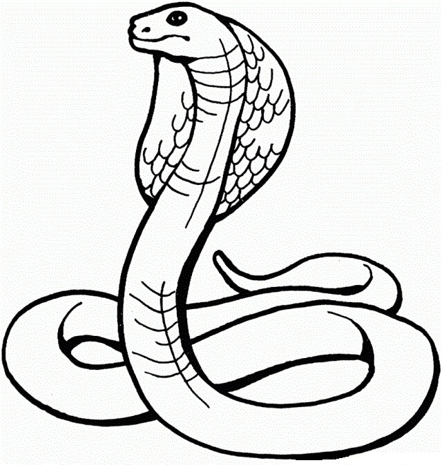 Desenhos de Cobra cobra para colorir