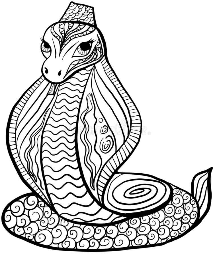 Desenhos de Cobra Dura para colorir