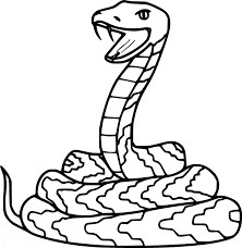 Desenhos de Cobra Normal para colorir