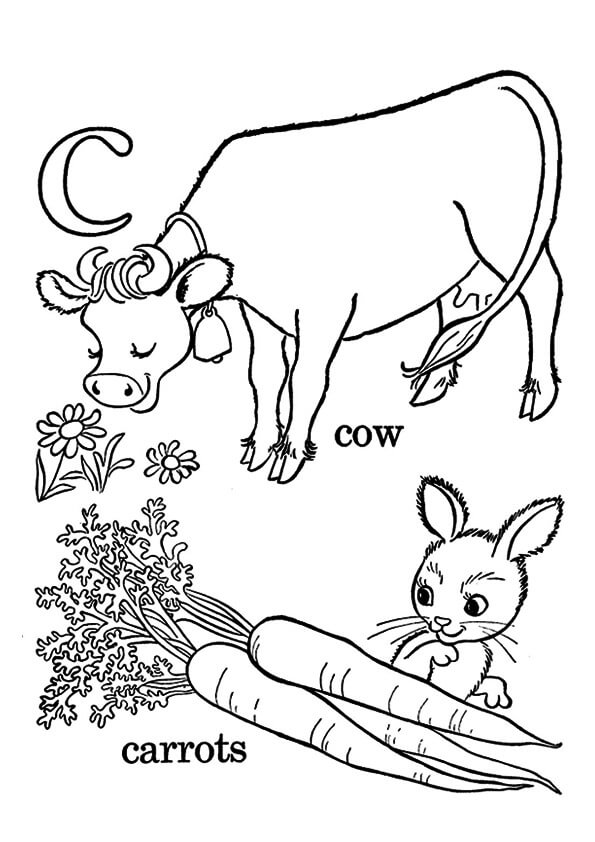 Coelho com Cenouras e Vaca para colorir