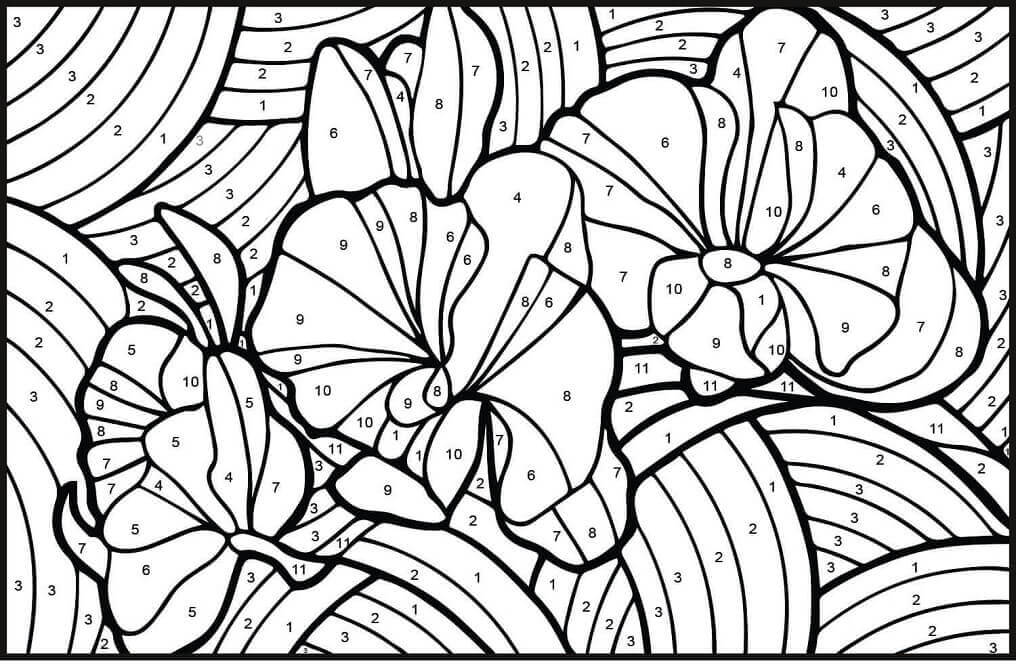 Desenhos de Cor da Orquídea por Número para colorir