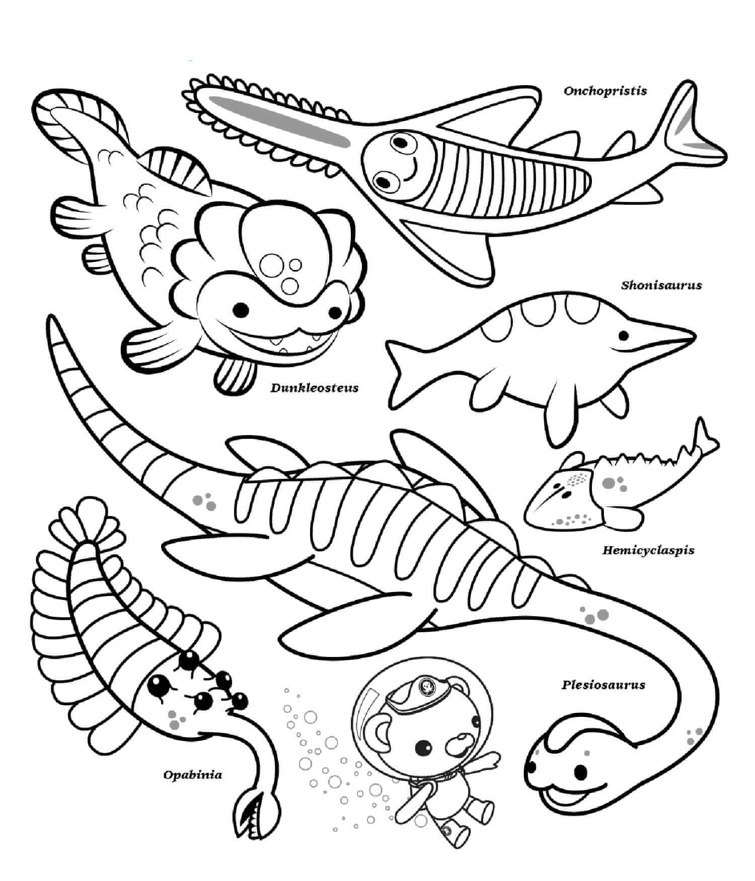 Desenhos de Criaturas Octonautas do Oceano para colorir