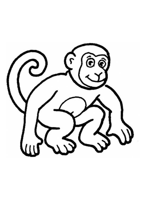 Desenhando Macaco Sorriso para colorir