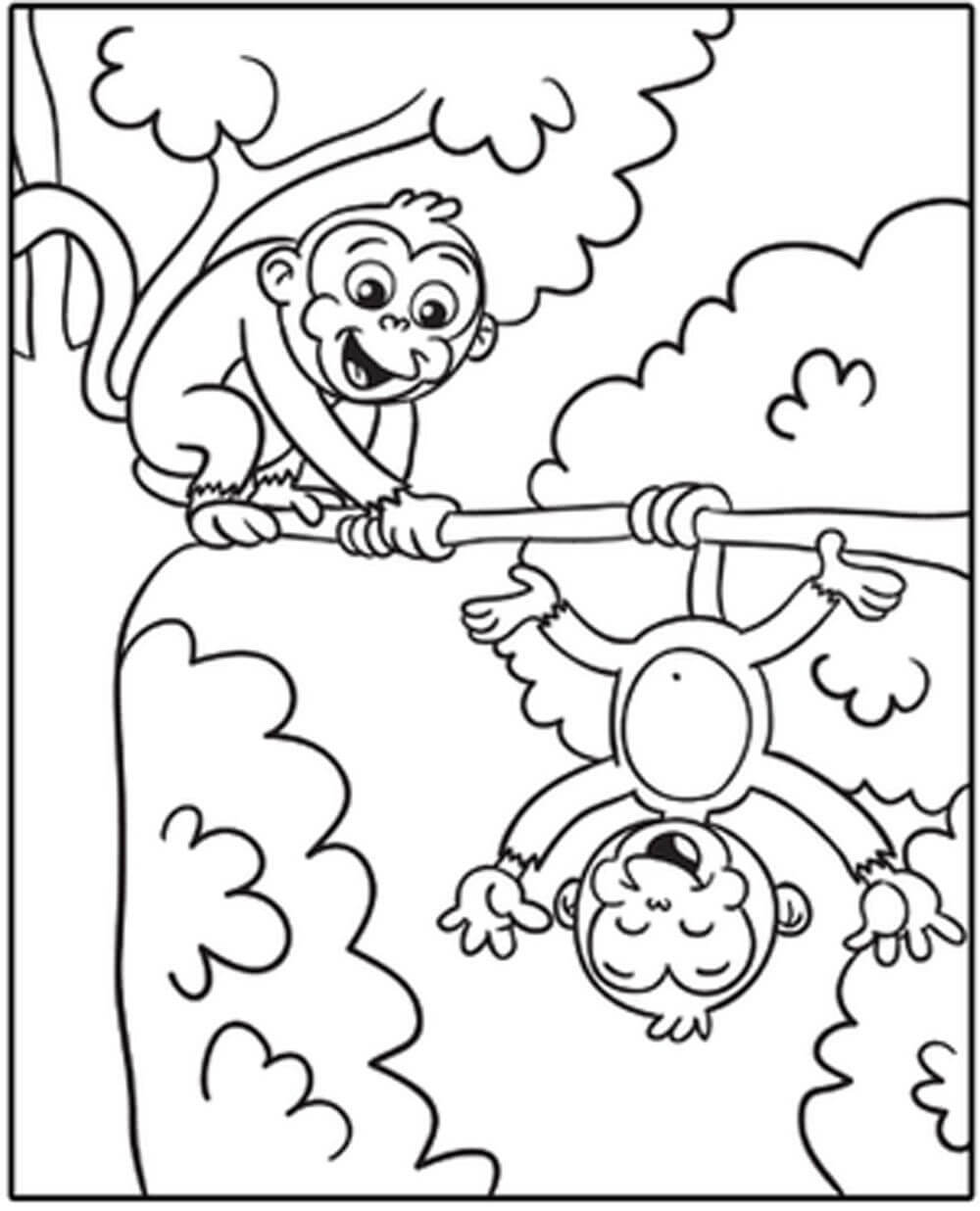 Desenhos de Dois Macacos Engraçados para colorir