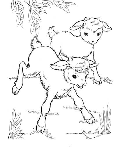 Desenhos de Duas Cabras chibi para colorir