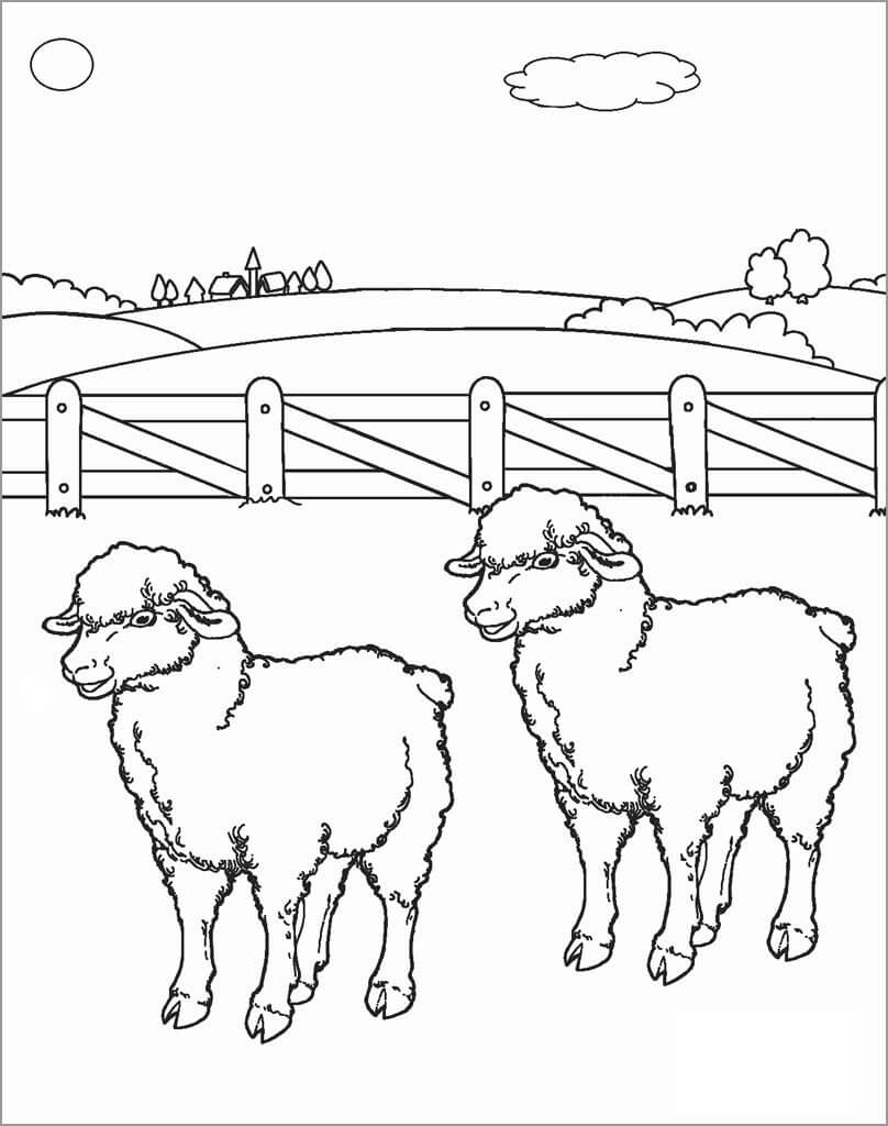 Duas Ovelhas na Fazenda para colorir