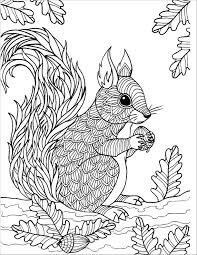 Desenhos de Esquilo Zentangle para colorir