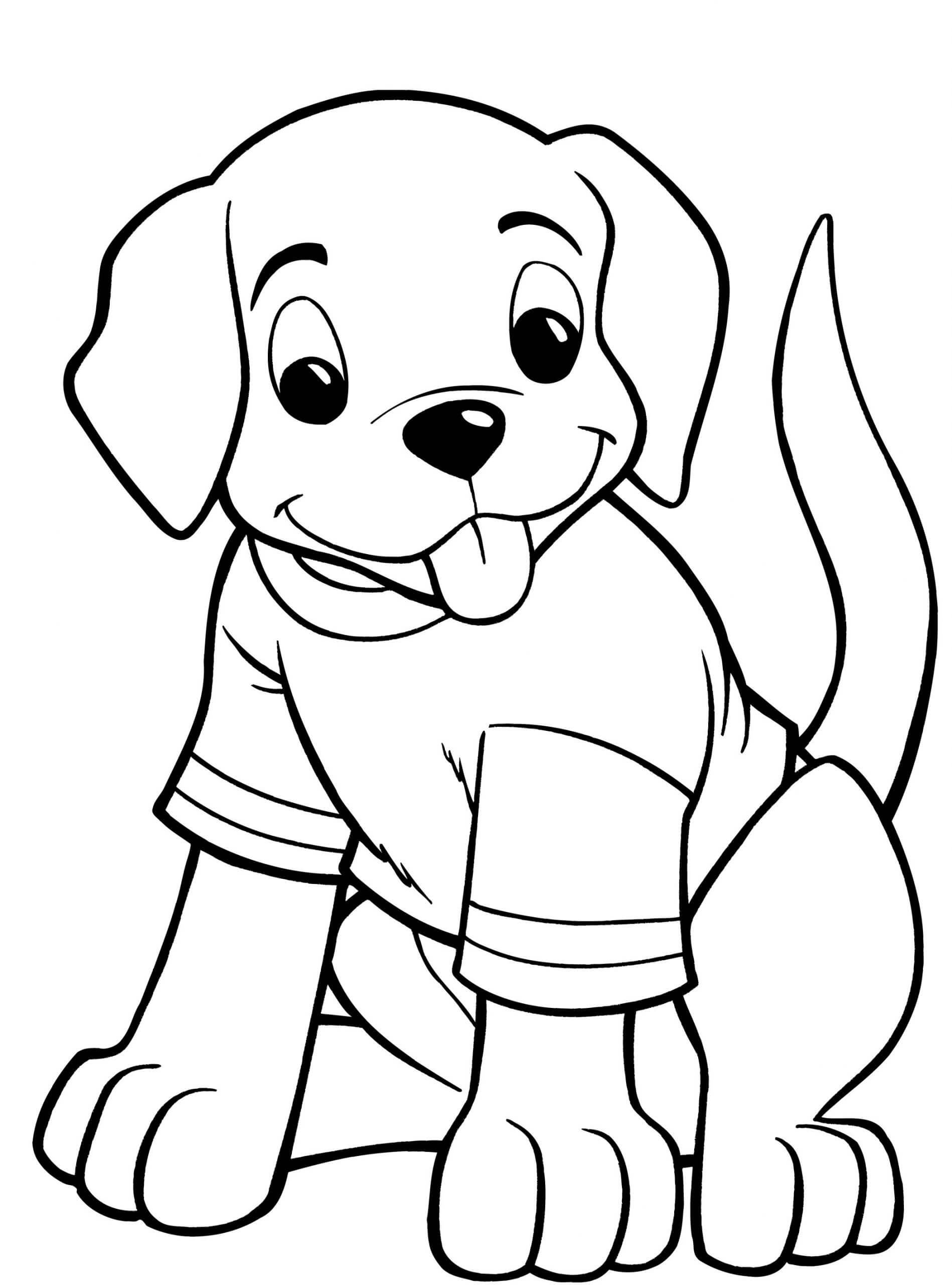 Desenhos de Filhote de Cachorro com Camiseta para colorir
