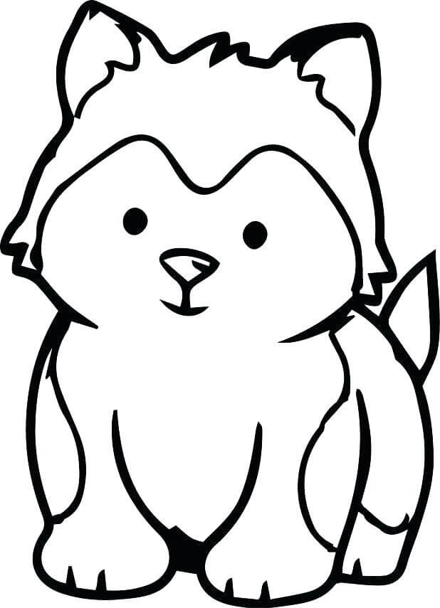 Desenhos de Filhote de Cachorro Husky para colorir