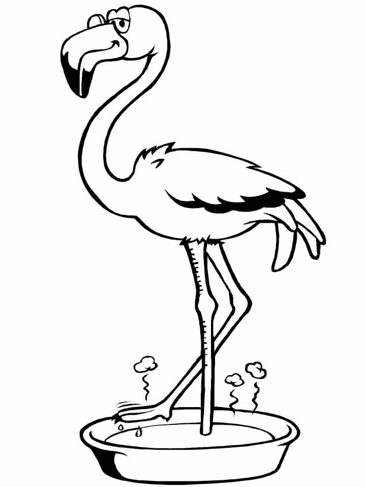 Flamingo Encharcado para colorir