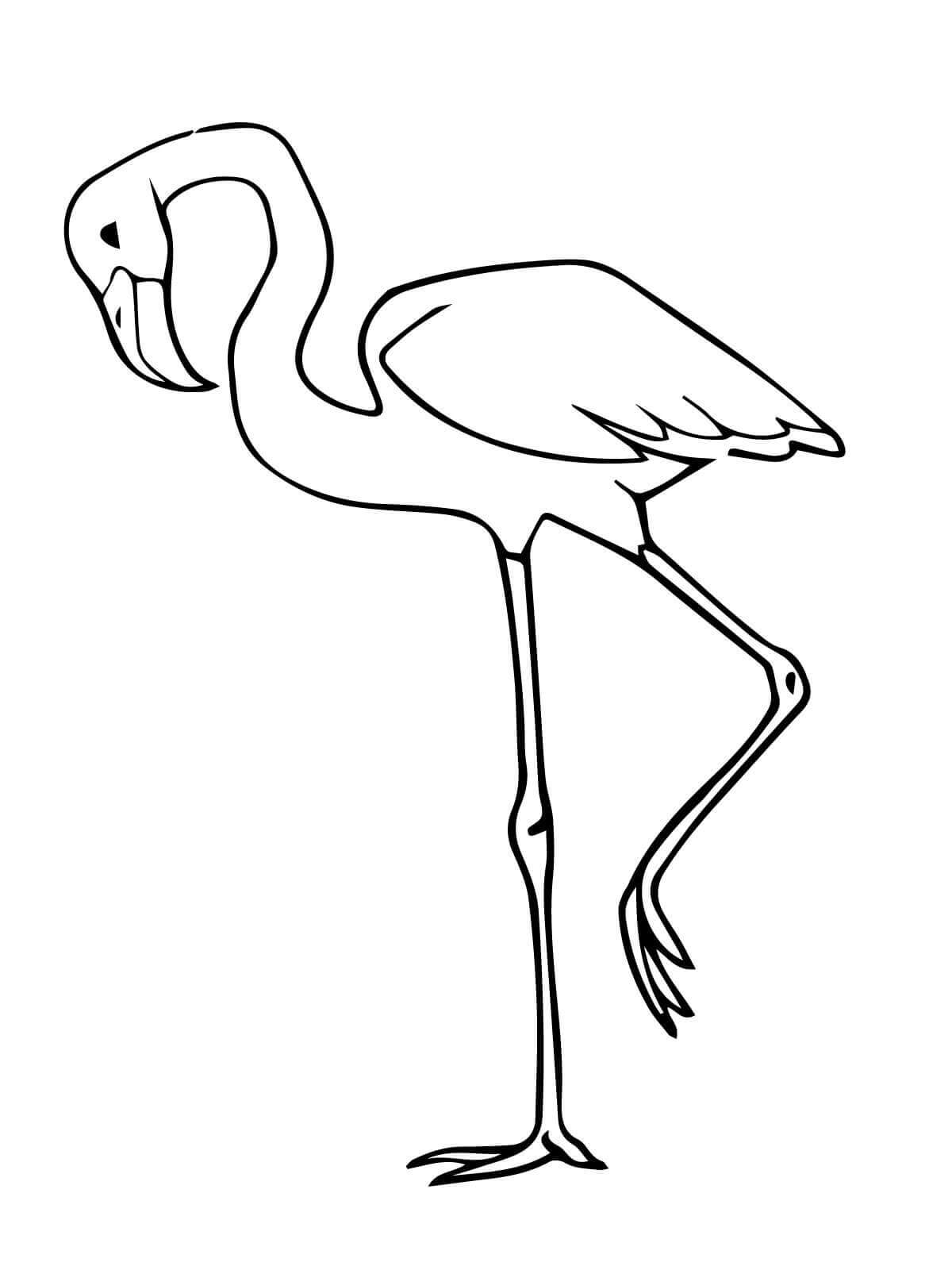 Flamingo Simples para colorir
