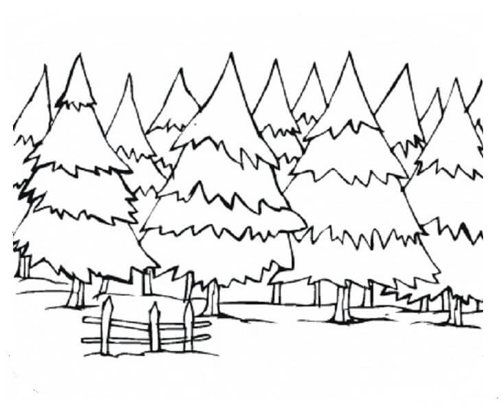 Desenhos de Floresta de Pinheiros para colorir