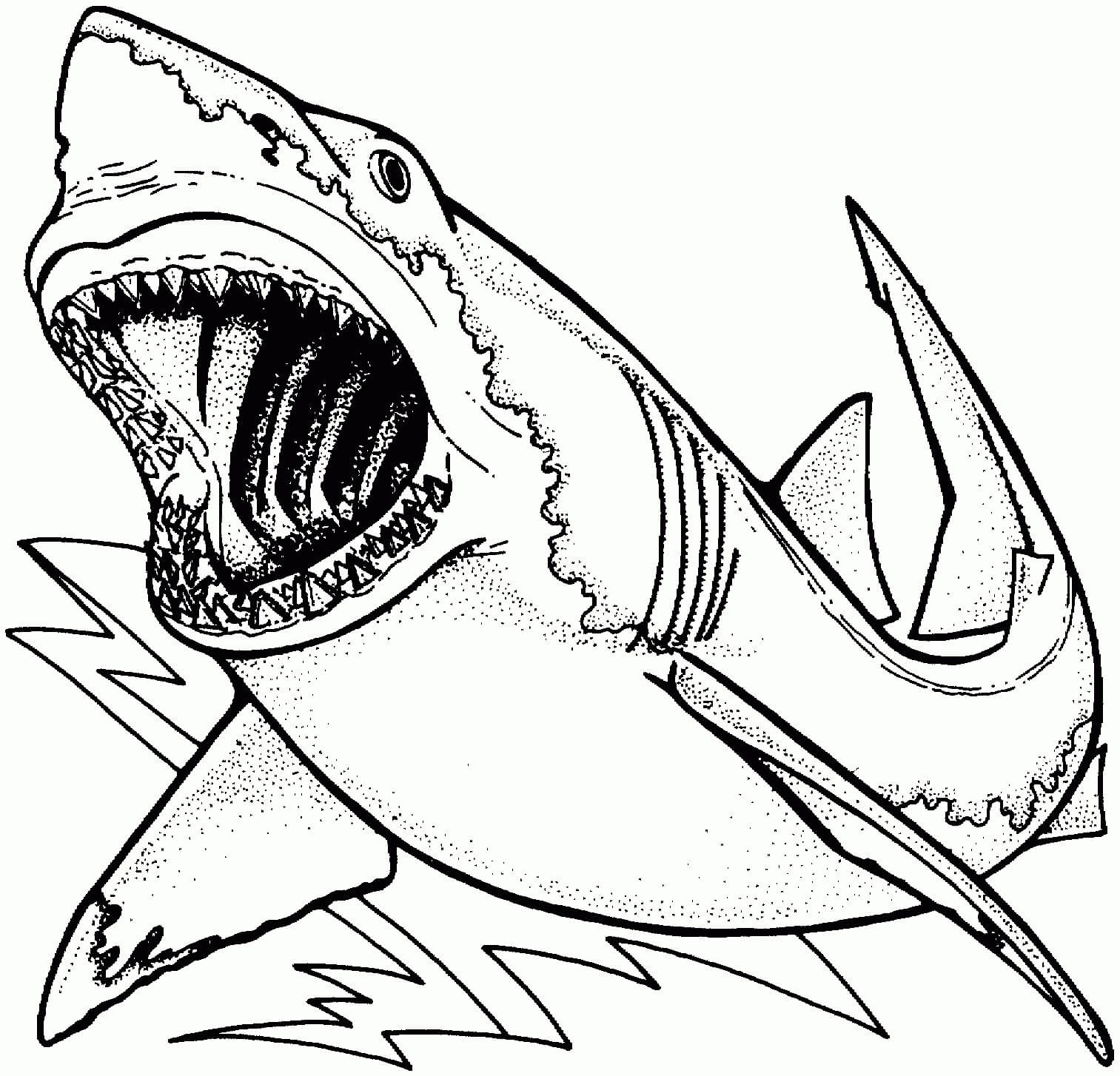 Desenhos de Grande Tubarão Branco Incrível para colorir