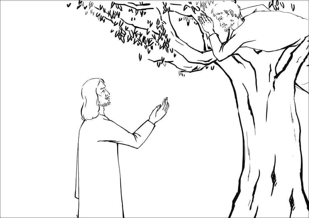 Desenhos de Jesus na árvore e o Engraçado Zaqueu para colorir