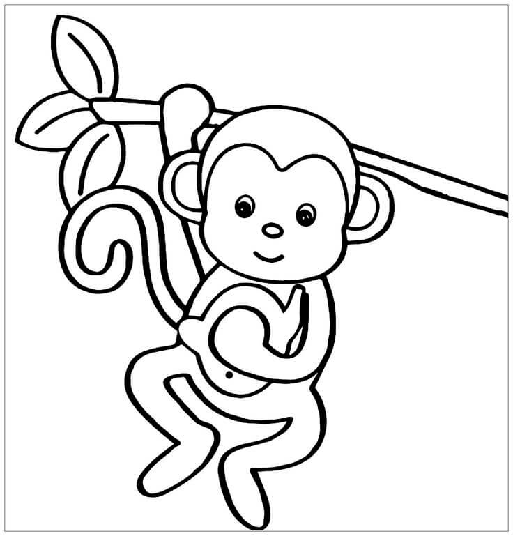 Desenhos de Macaco Básico para colorir