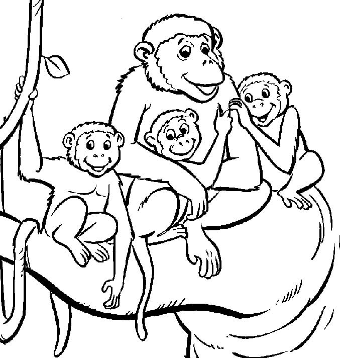 Desenhos de Macaco Família para colorir