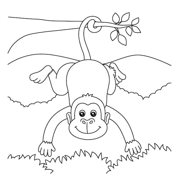 Desenhos de Macaco Normal para colorir