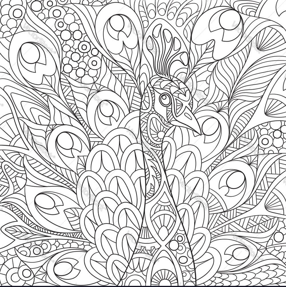 Desenhos de Mandala Pavão para colorir