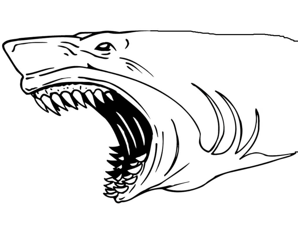 Mandíbula Terrível de Tubarão para colorir
