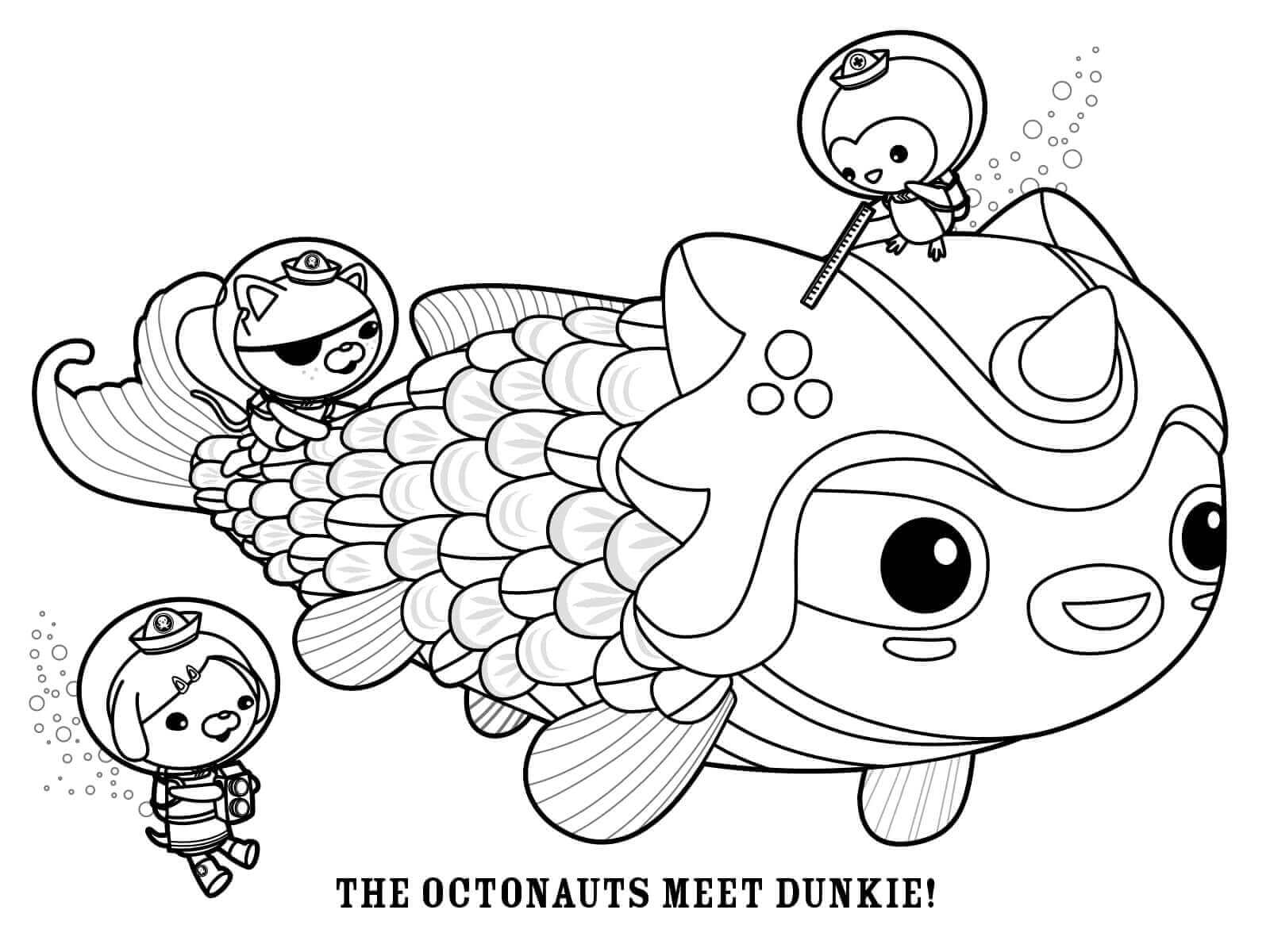 Desenhos de Octonauts Conheça Dunkie para colorir