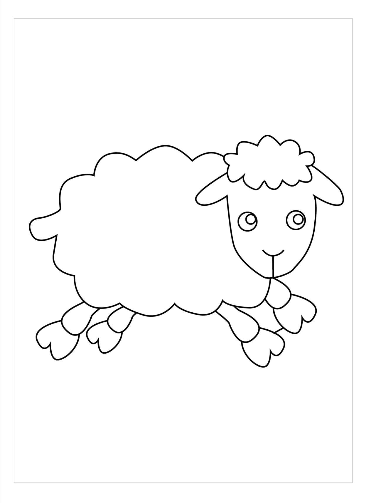 Desenhos de Ovelha Simples para colorir