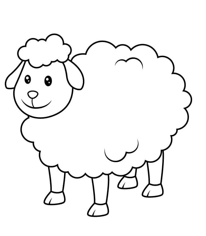 Desenhos de Ovelhas Adoráveis para colorir