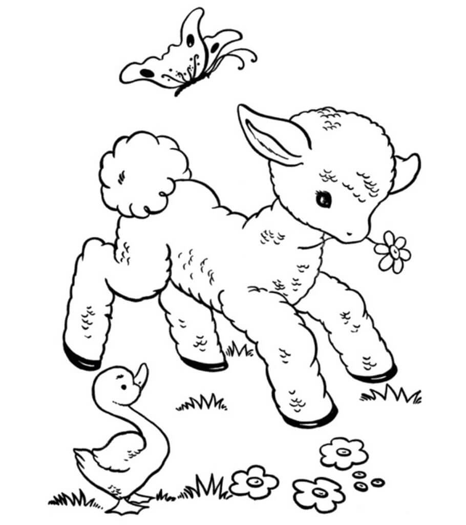 Desenhos de Ovelhas com Pato e Borboleta para colorir