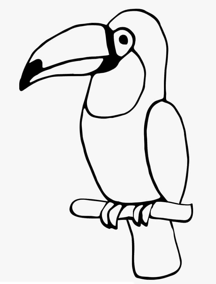 Pássaro Tucan Normal para colorir