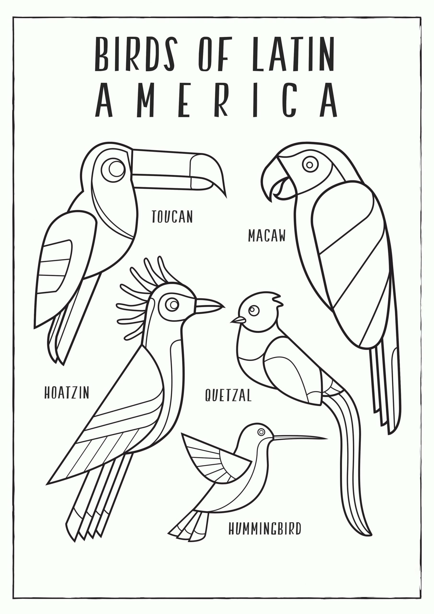 Desenhos de Pássaros Latino-Americanos para colorir