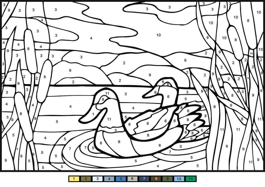 Desenhos de Patos Mullard cor por Número para colorir
