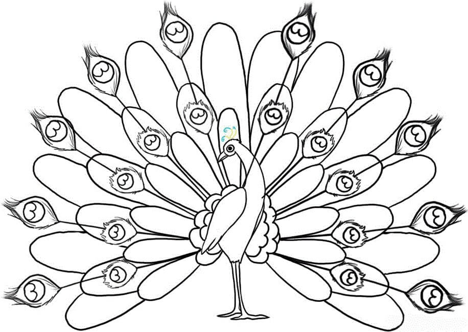 Desenhos de Pavão dos Desenhos Animados para colorir