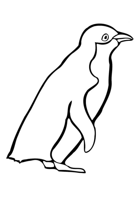 Pinguim de Desenho Básico para colorir