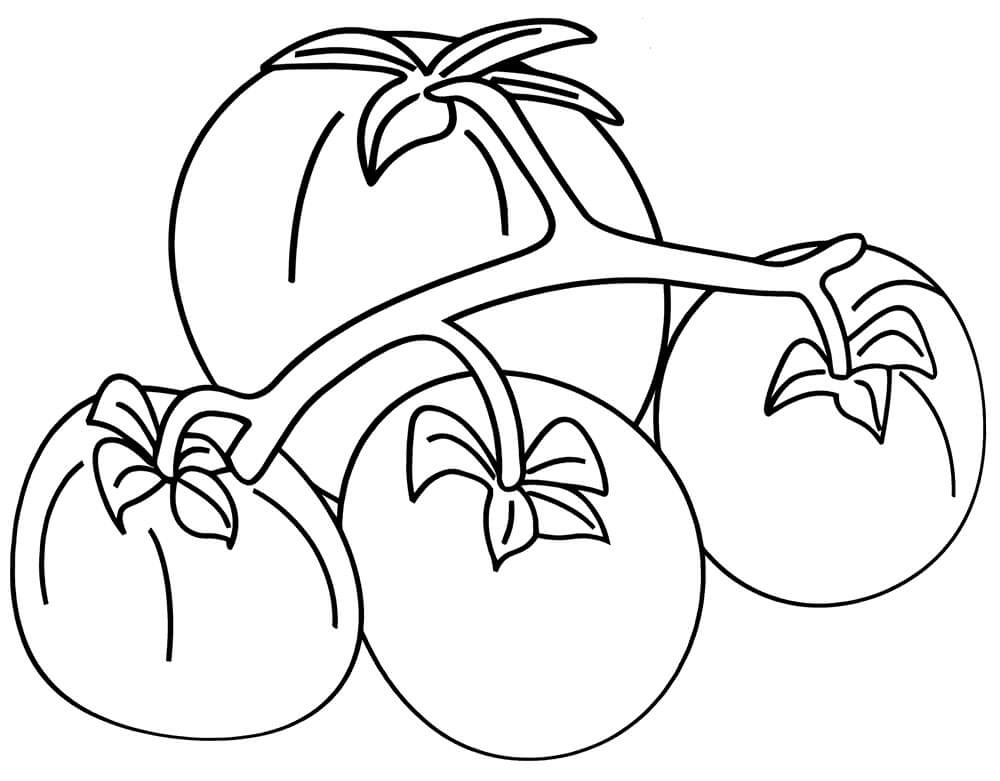 Desenhos de Quatro Tomates para colorir