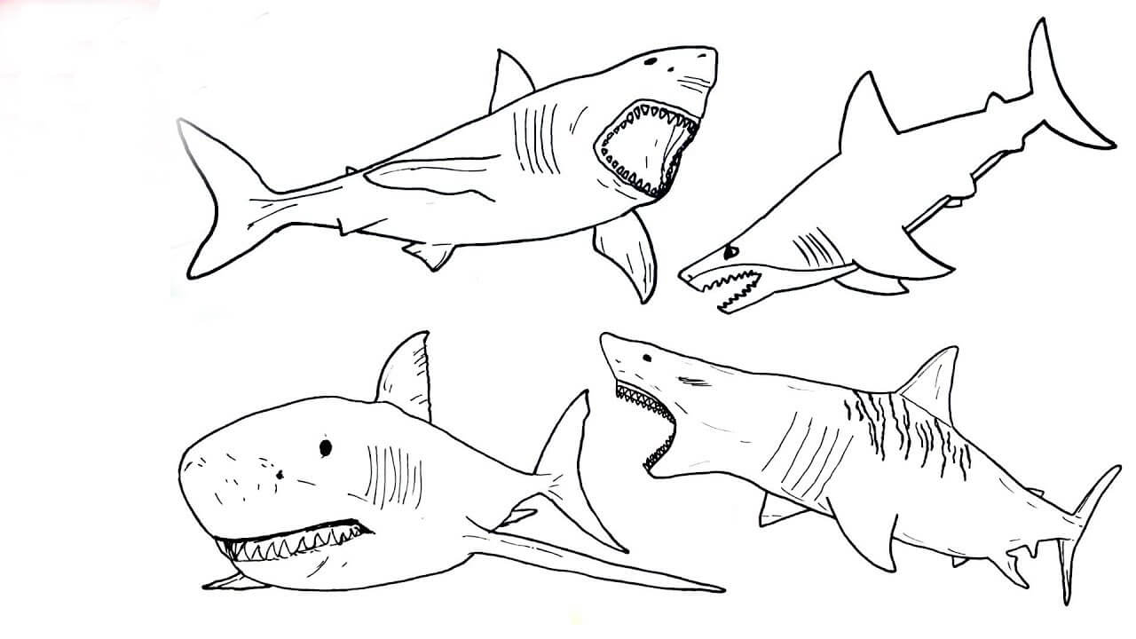 Desenhos de Quatro Tubarões para colorir