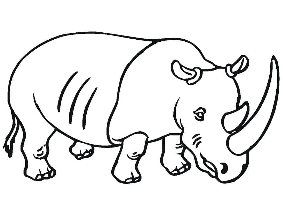 Rinoceronte com Chifre Grande para colorir