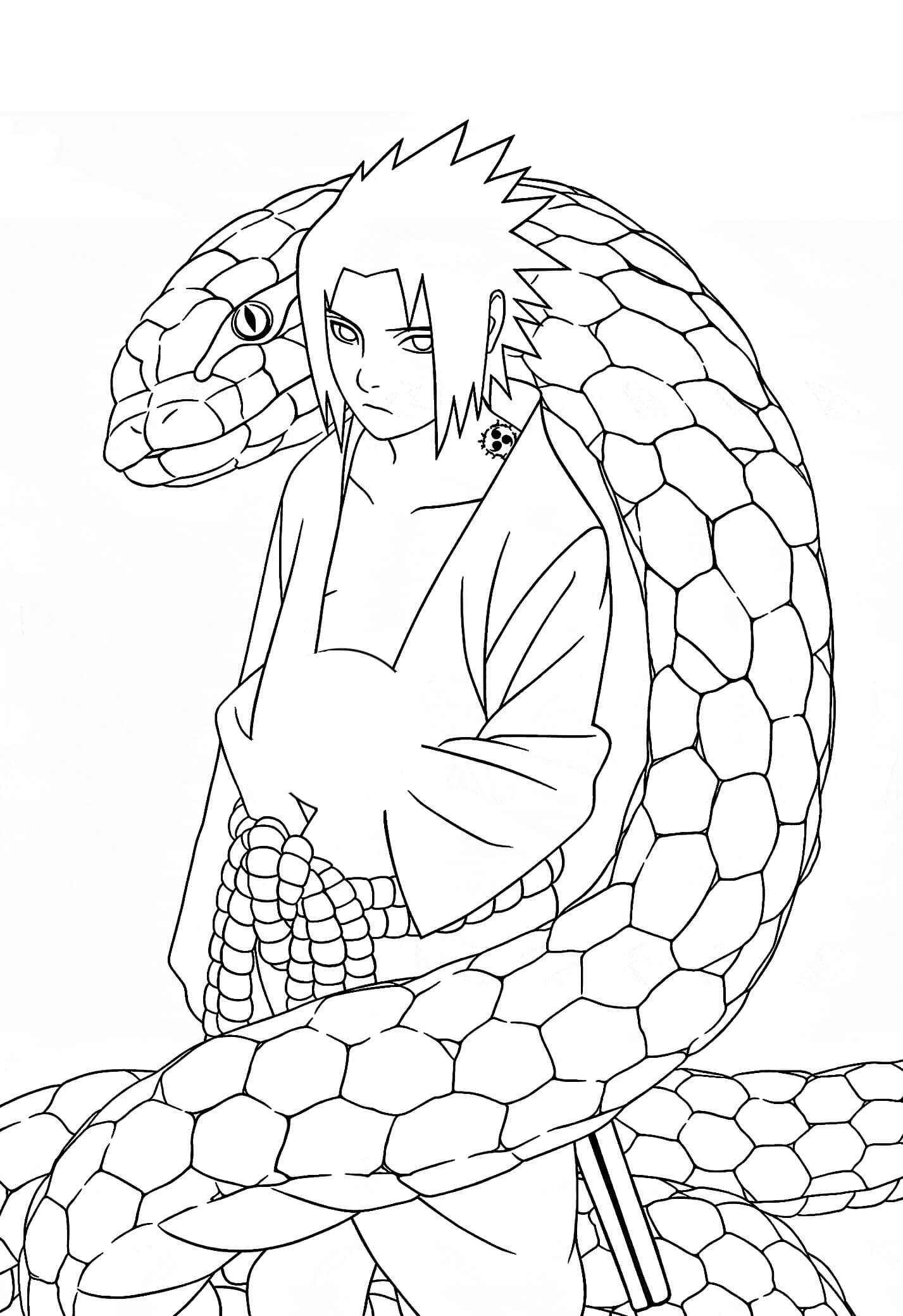 Desenhos de Sasuke e Aoda para colorir