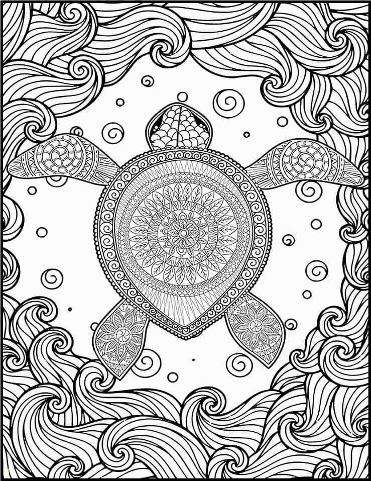 Desenhos de Tartaruga Duro para colorir