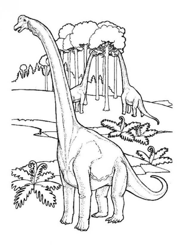 Desenhos de Três Brontossauros para colorir