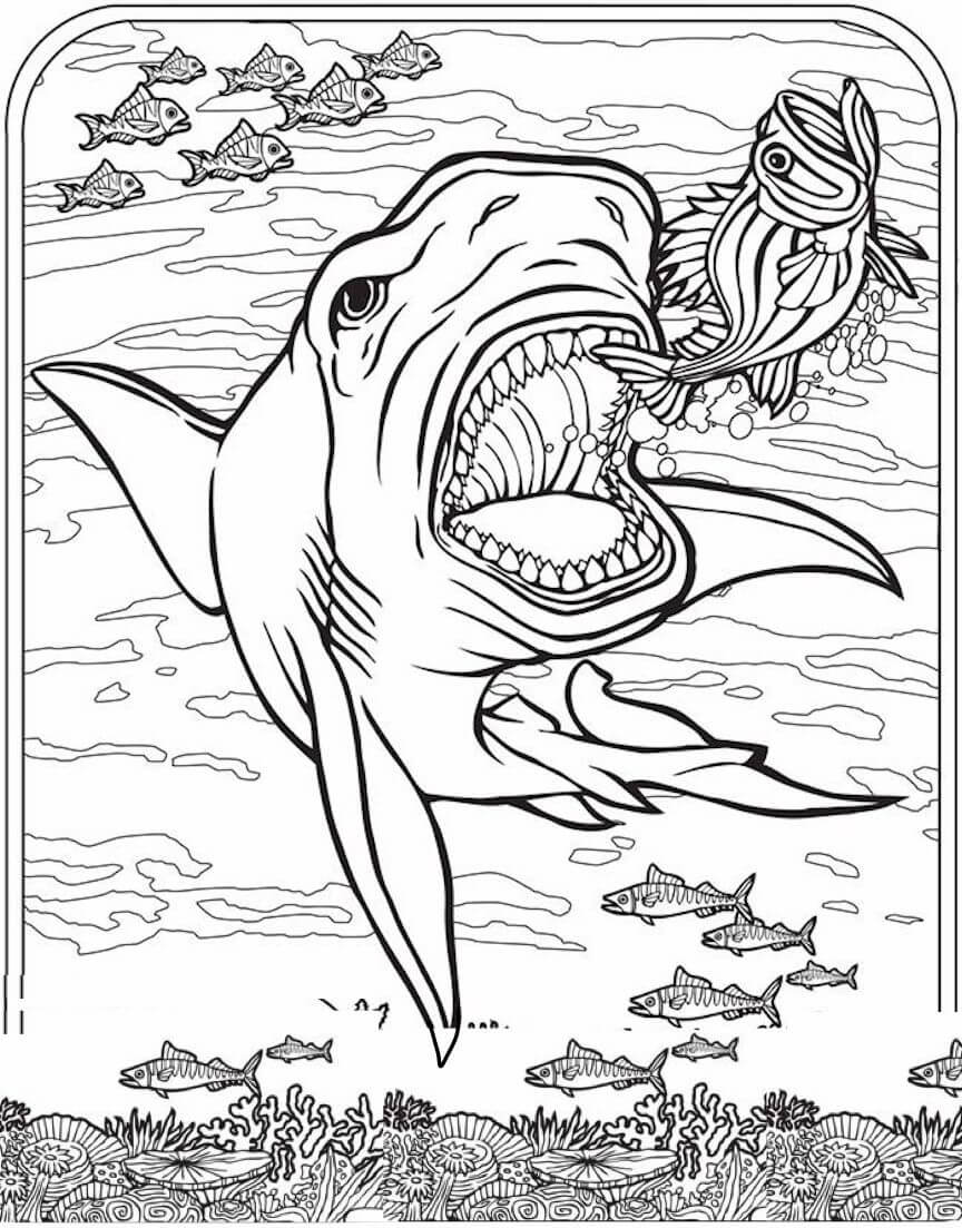 Tubarão Comendo Peixe para colorir
