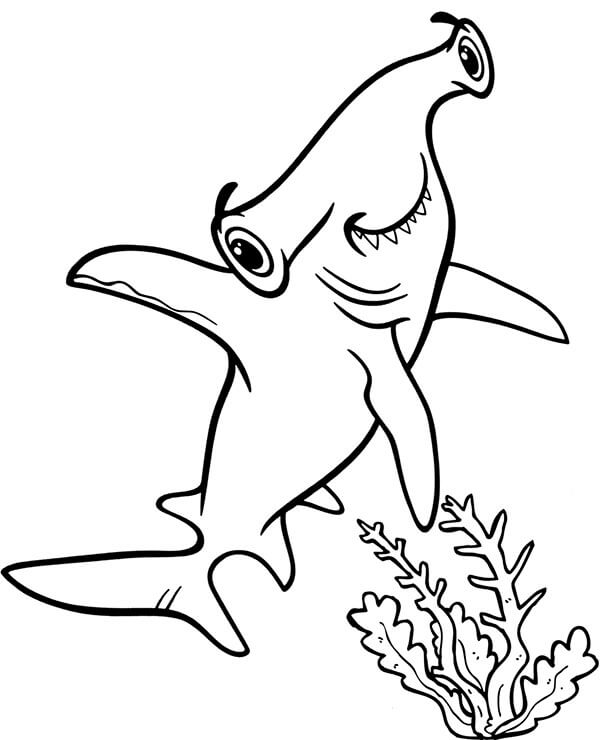 Desenhos de Tubarão-martelo Fofo para colorir