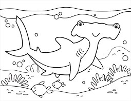 Desenhos de Tubarão Martelo Sorrindo para colorir