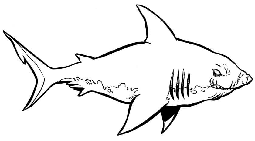 Tubarão Monstro para colorir