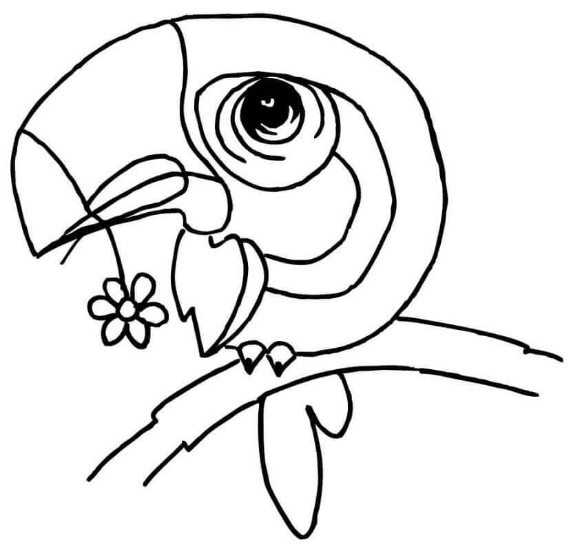 Tucan dos Desenhos Animados para colorir