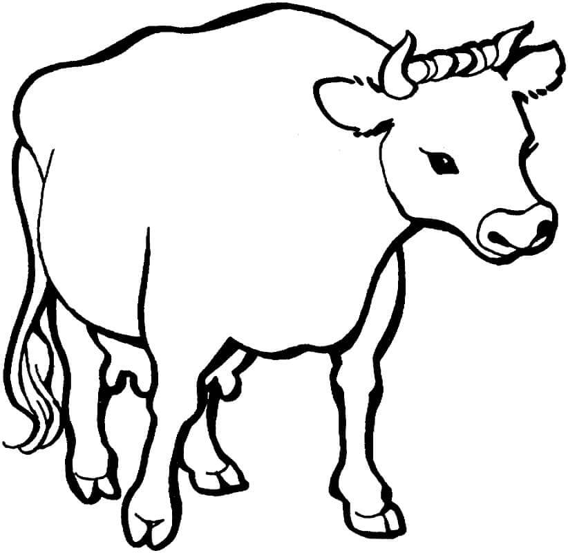 Desenhos de Uma Vaca para colorir