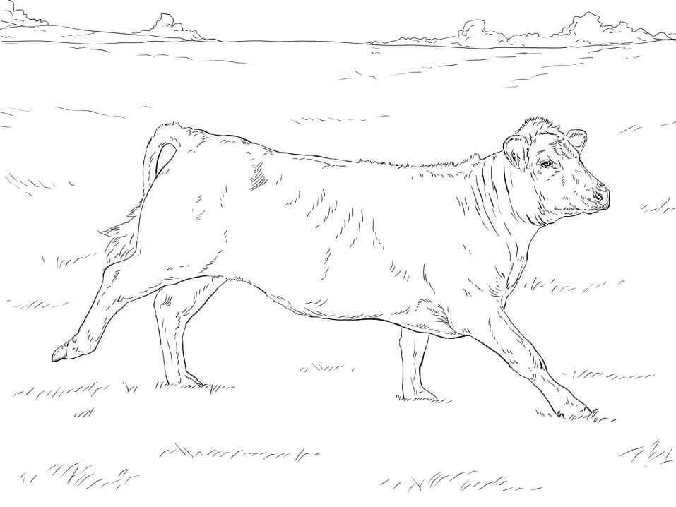 Desenhos de Vaca Correndo para colorir