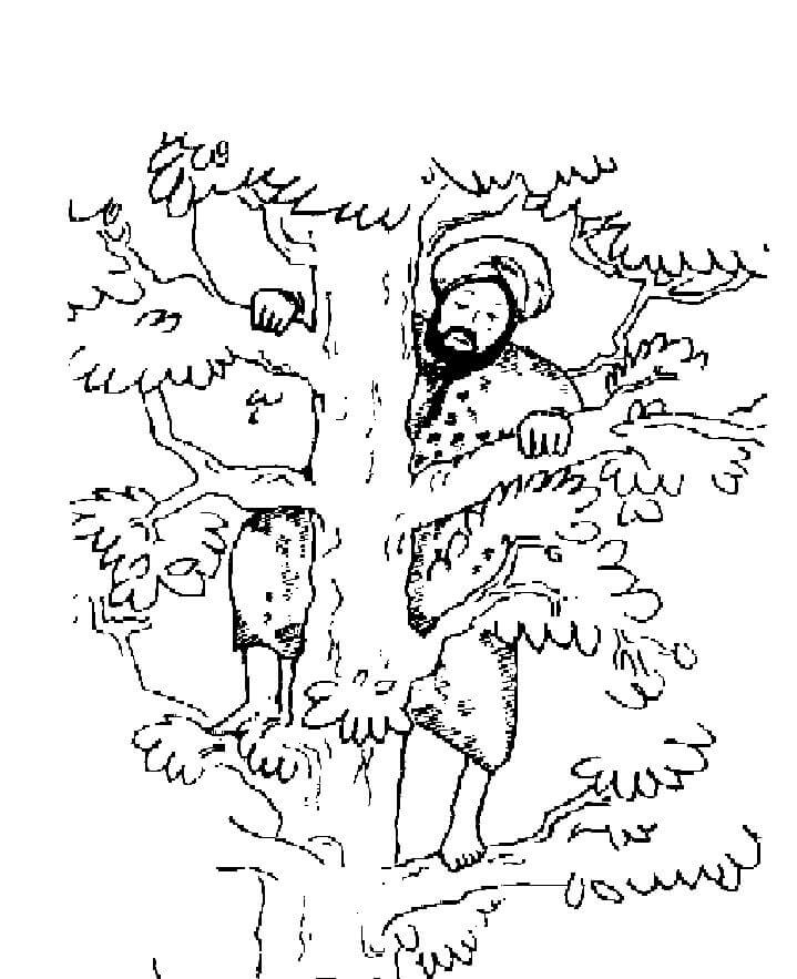Desenhos de Zaqueu na Árvore Engraçada para colorir
