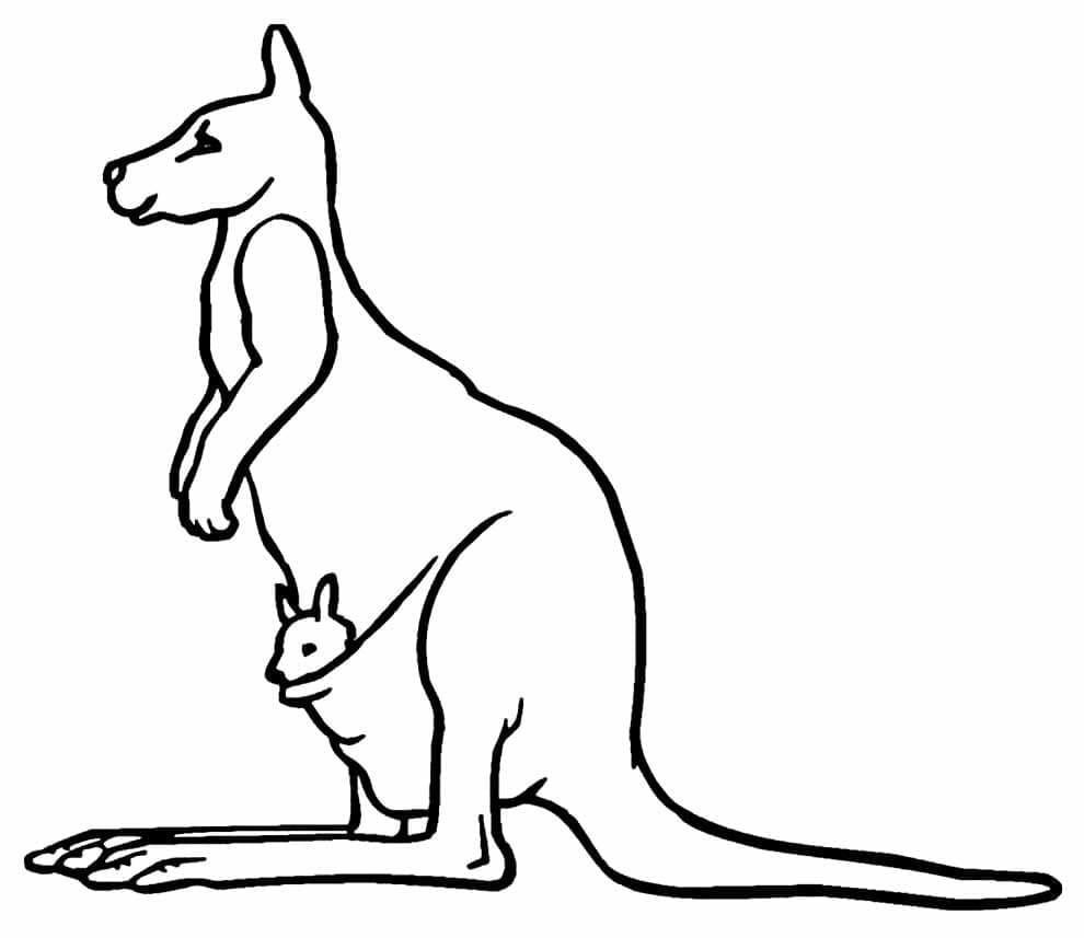 Desenhos de Canguru 3 para colorir